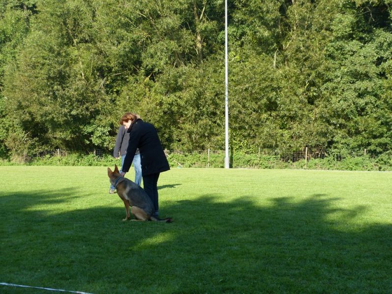 Obedience Prüfung 2015