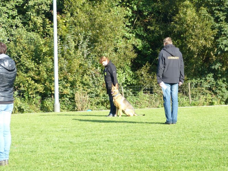 Obedience Prüfung 2015