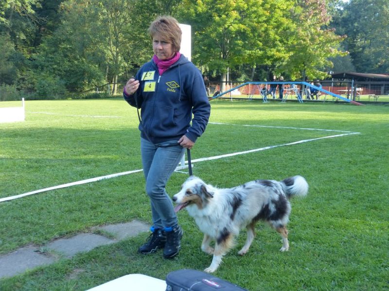 Obedience Prüfung 2015
