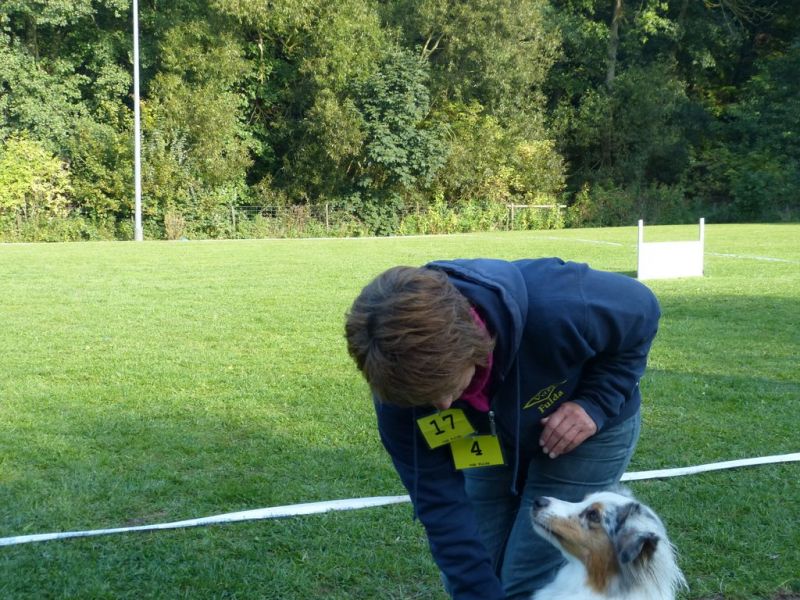 Obedience Prüfung 2015