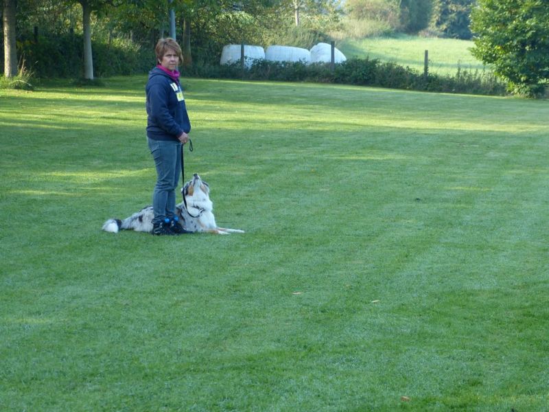 Obedience Prüfung 2015