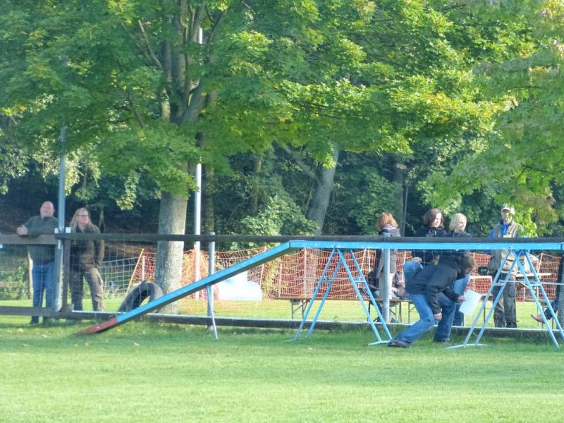 Obedience Prüfung 2015