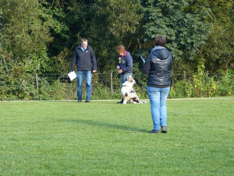 Obedience Prüfung 2015