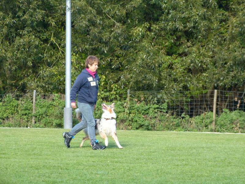 Obedience Prüfung 2015
