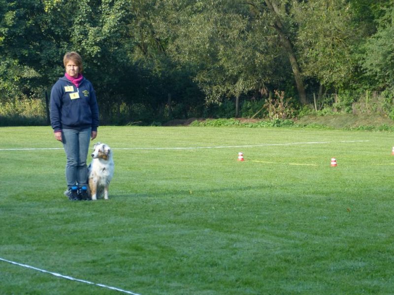 Obedience Prüfung 2015