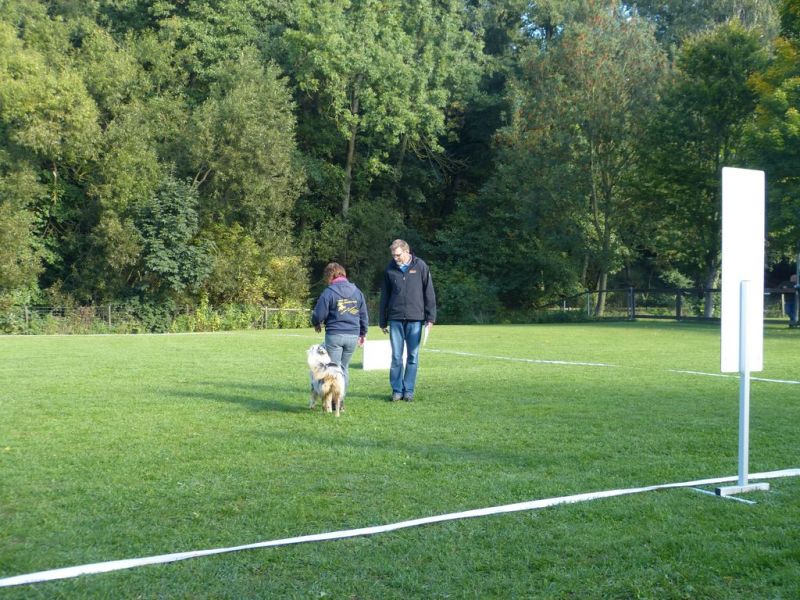 Obedience Prüfung 2015