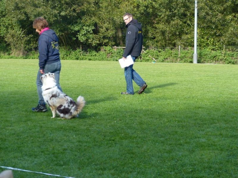 Obedience Prüfung 2015