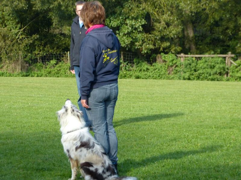 Obedience Prüfung 2015