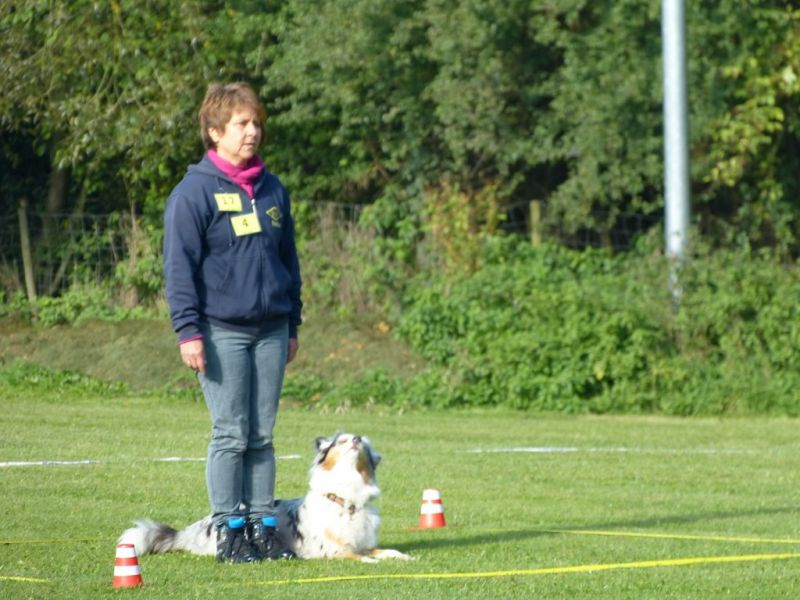 Obedience Prüfung 2015