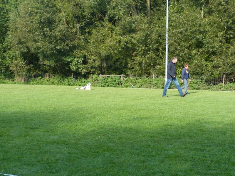 Obedience Prüfung 2015