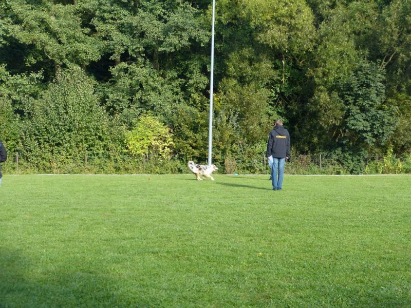 Obedience Prüfung 2015