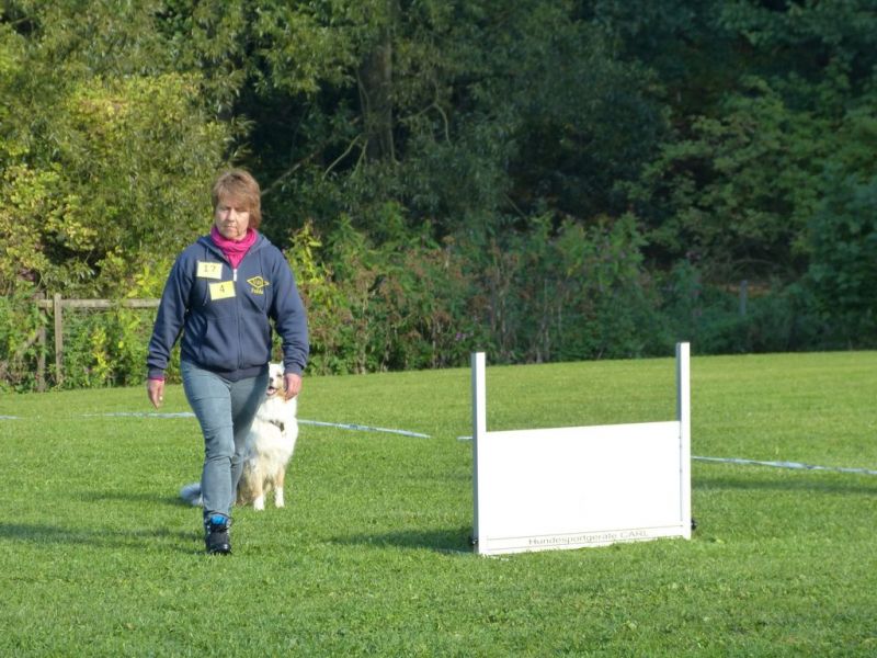Obedience Prüfung 2015