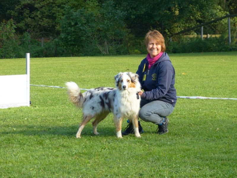 Obedience Prüfung 2015