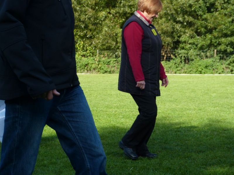 Obedience Prüfung 2015