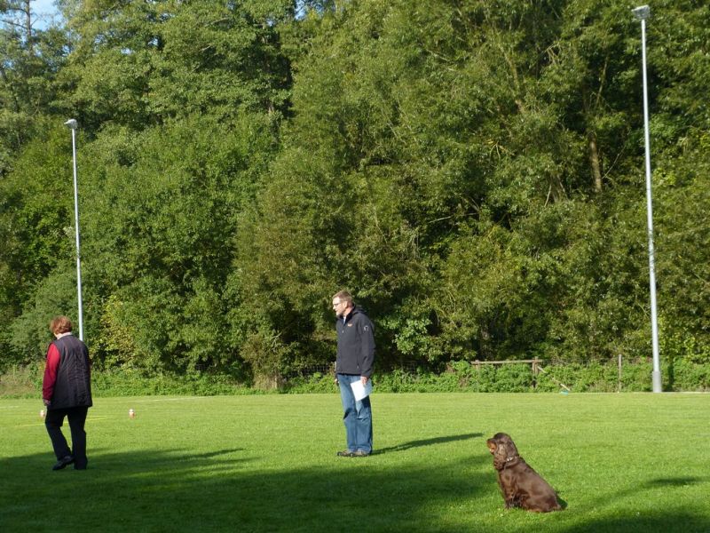 Obedience Prüfung 2015