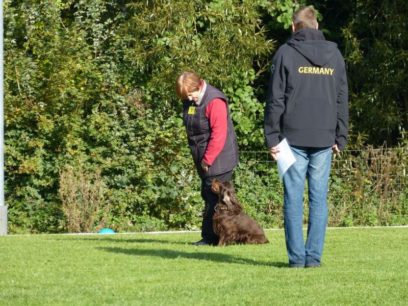 Obedience Prüfung 2015