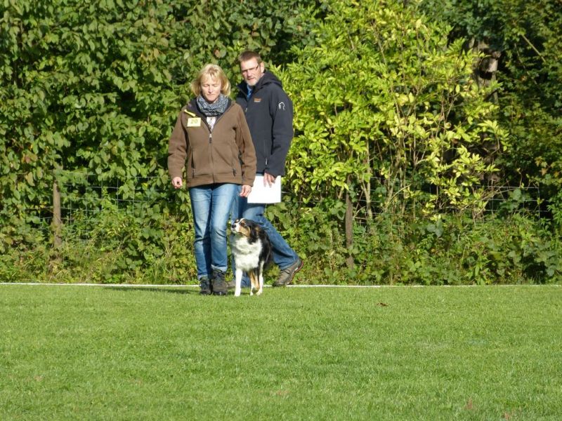 Obedience Prüfung 2015