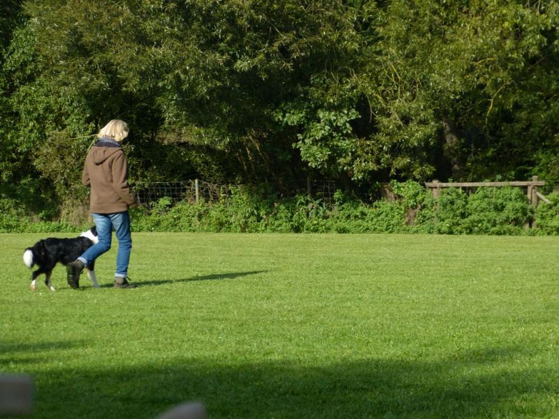 Obedience Prüfung 2015