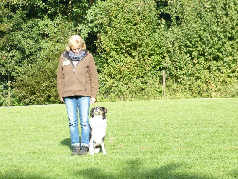 Obedience Prüfung 2015