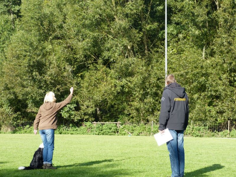 Obedience Prüfung 2015