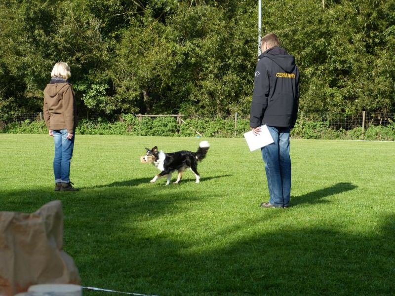 Obedience Prüfung 2015