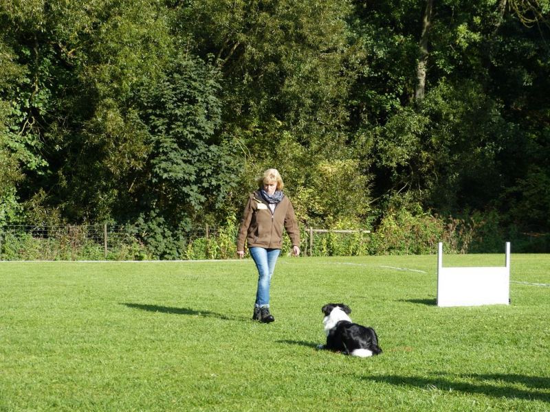 Obedience Prüfung 2015