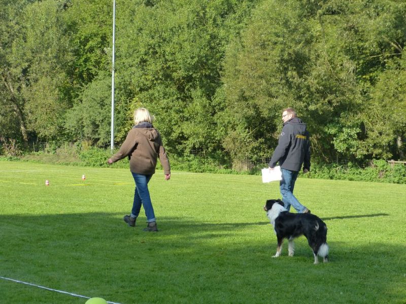 Obedience Prüfung 2015