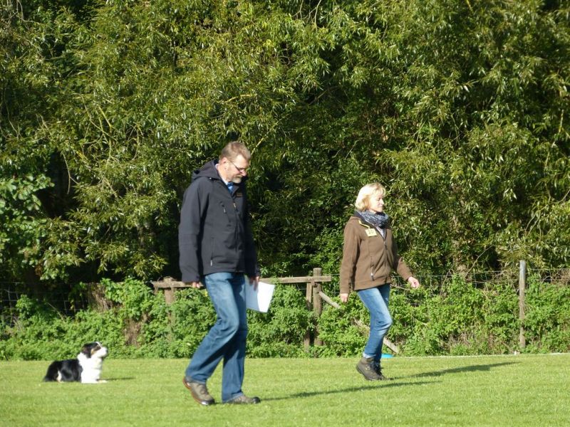 Obedience Prüfung 2015