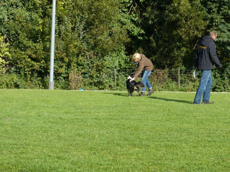Obedience Prüfung 2015