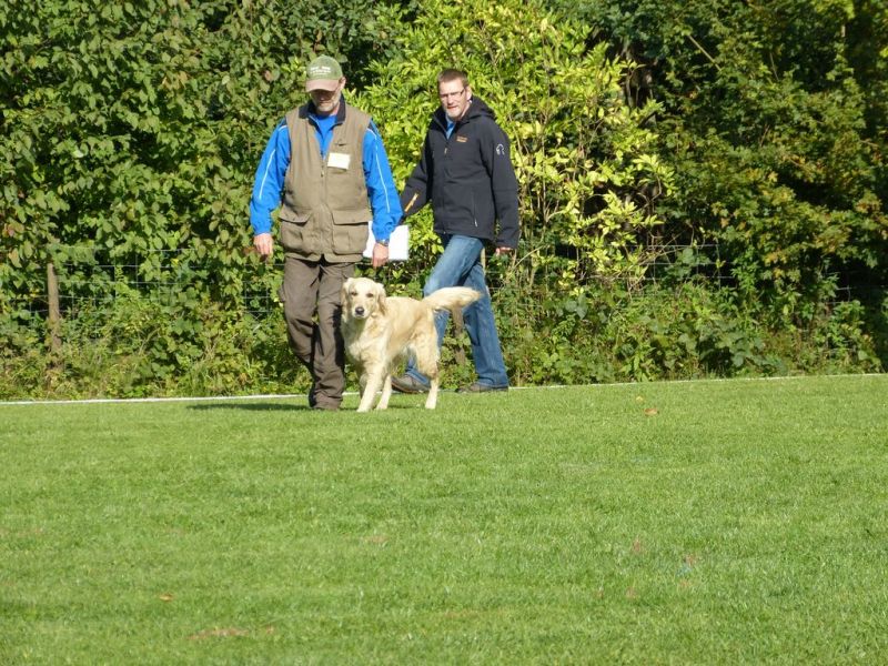 Obedience Prüfung 2015