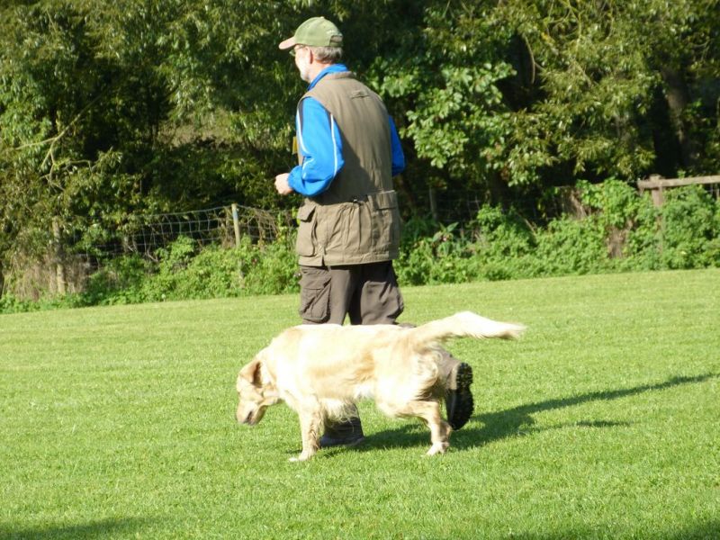 Obedience Prüfung 2015