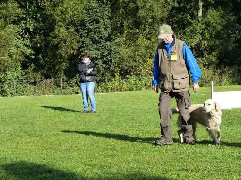 Obedience Prüfung 2015