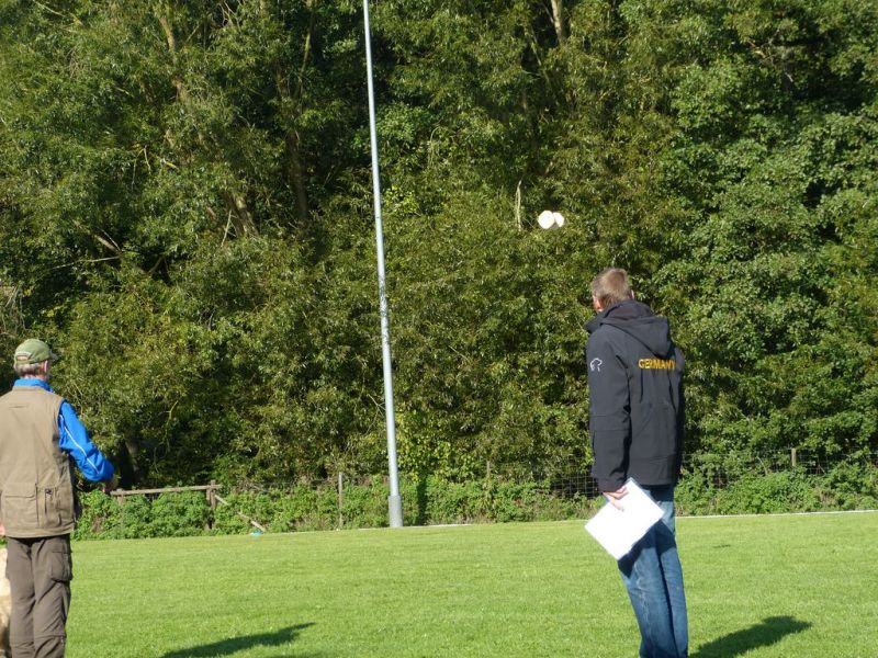 Obedience Prüfung 2015