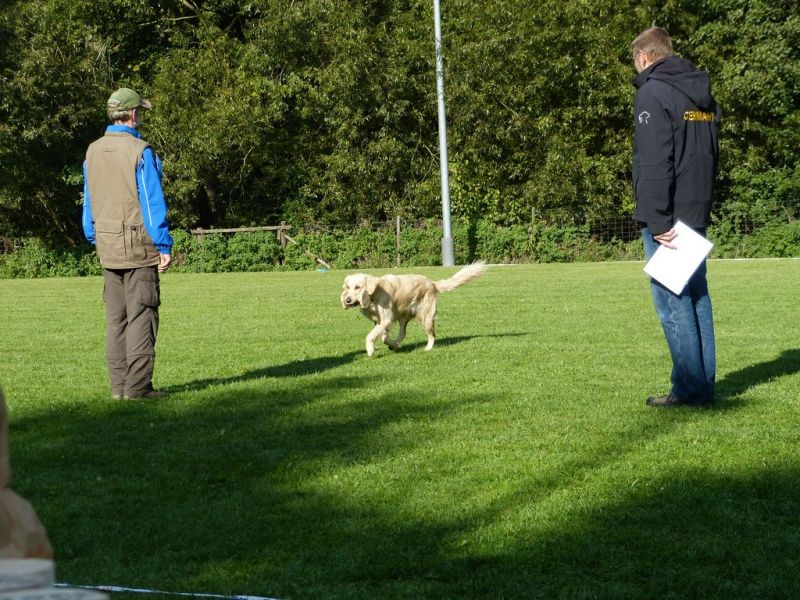 Obedience Prüfung 2015