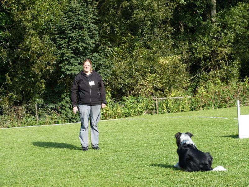 Obedience Prüfung 2015