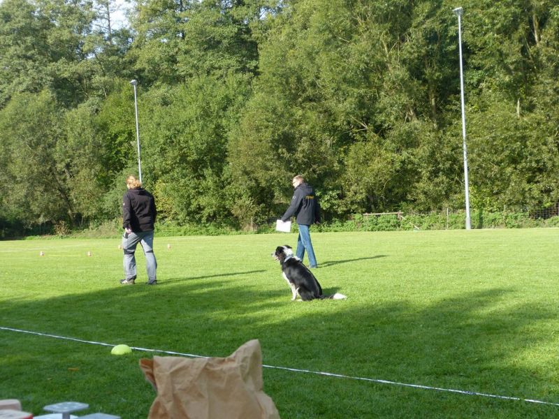 Obedience Prüfung 2015