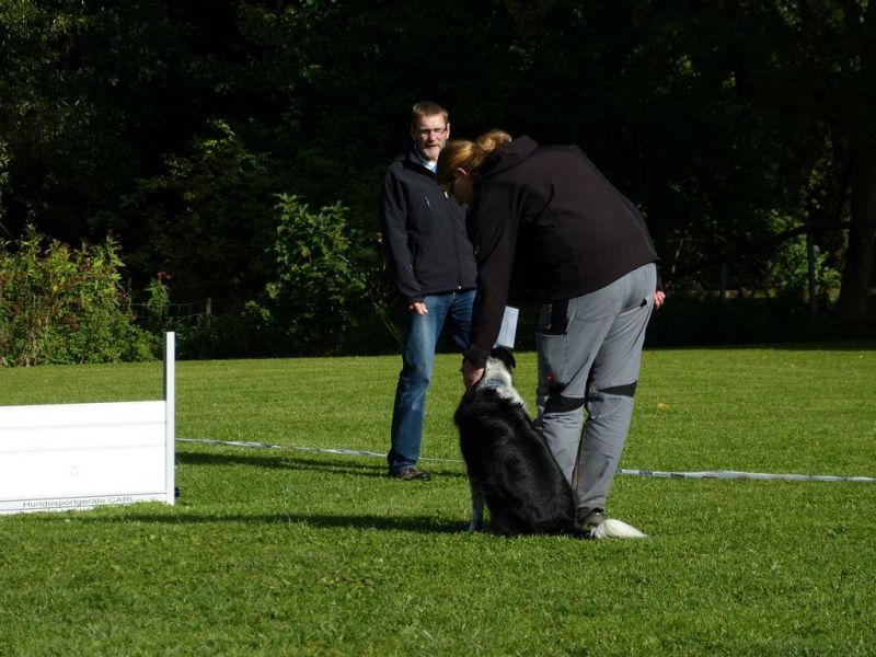Obedience Prüfung 2015