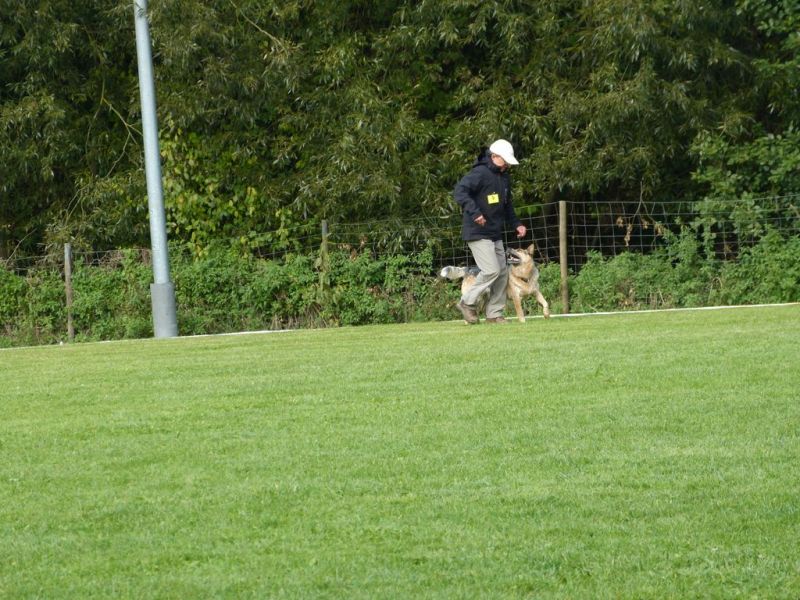 Obedience Prüfung 2015