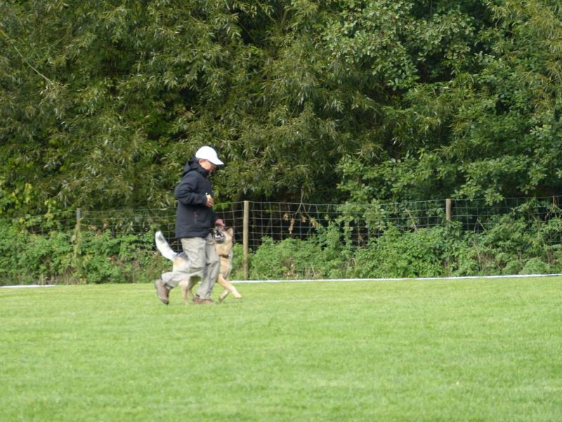 Obedience Prüfung 2015