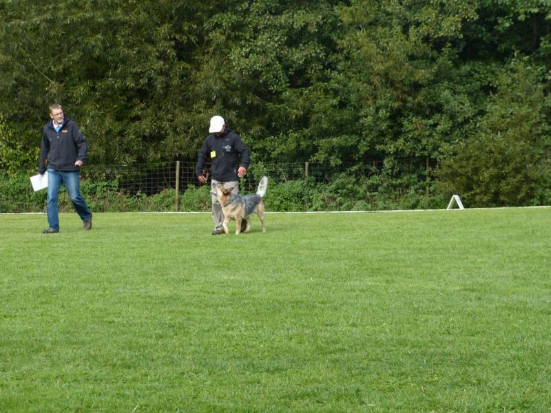 Obedience Prüfung 2015