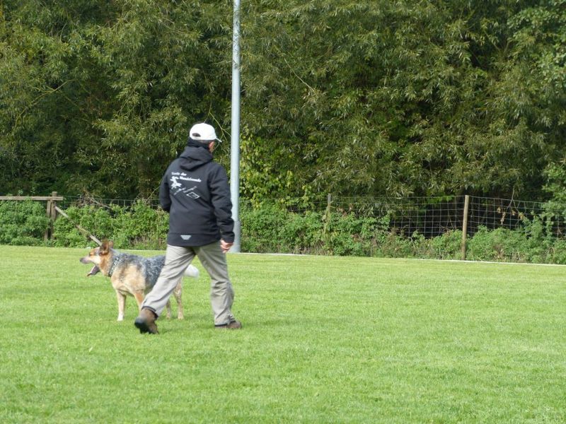 Obedience Prüfung 2015