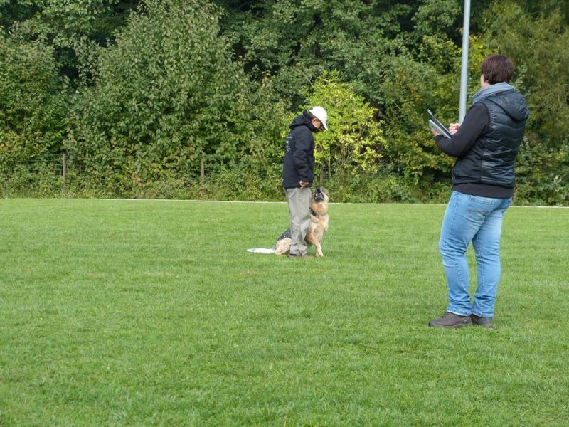 Obedience Prüfung 2015