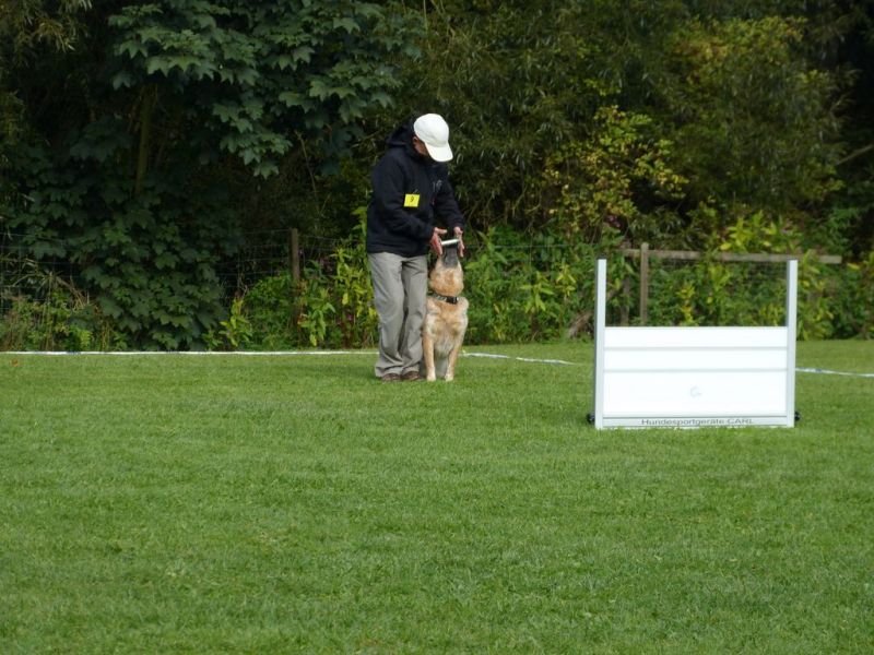 Obedience Prüfung 2015