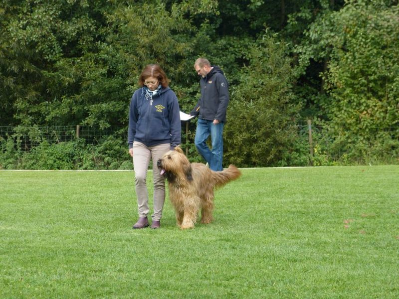 Obedience Prüfung 2015