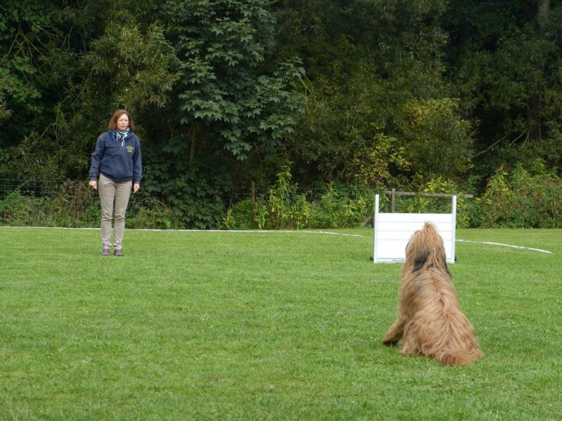 Obedience Prüfung 2015