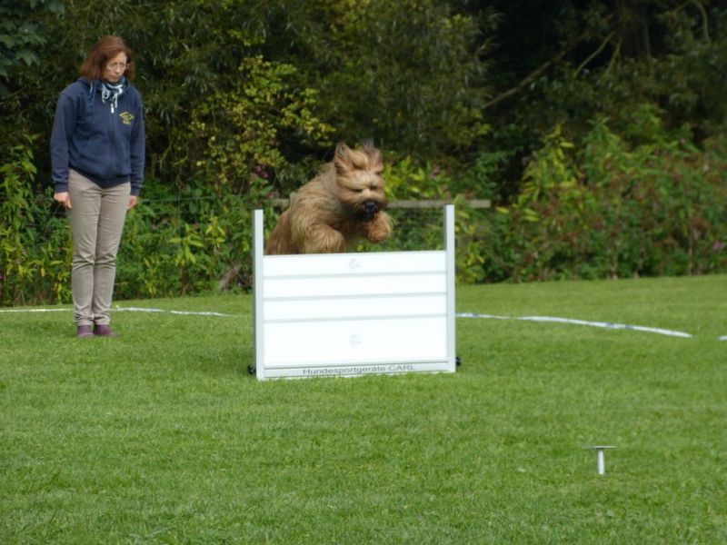 Obedience Prüfung 2015