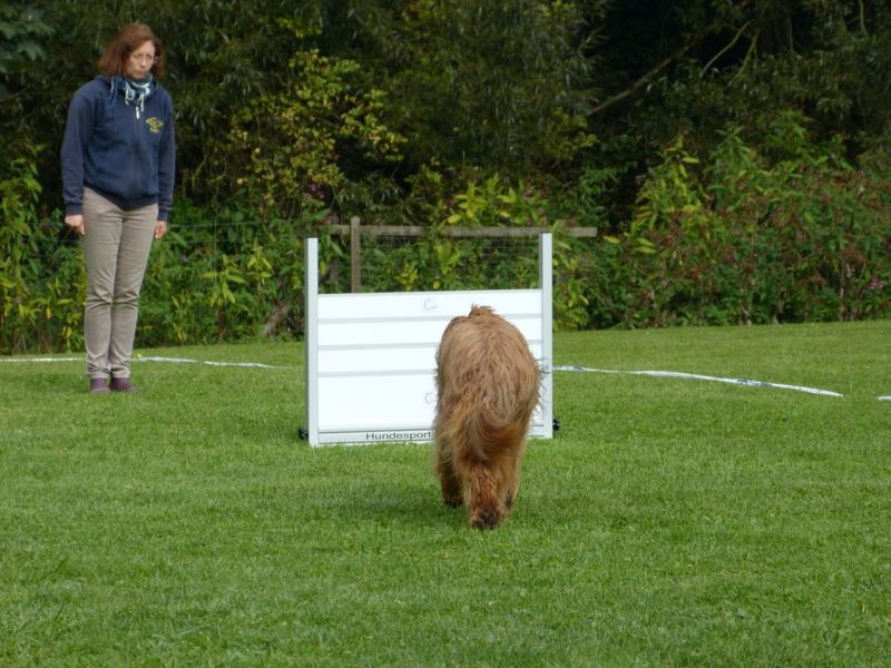 Obedience Prüfung 2015