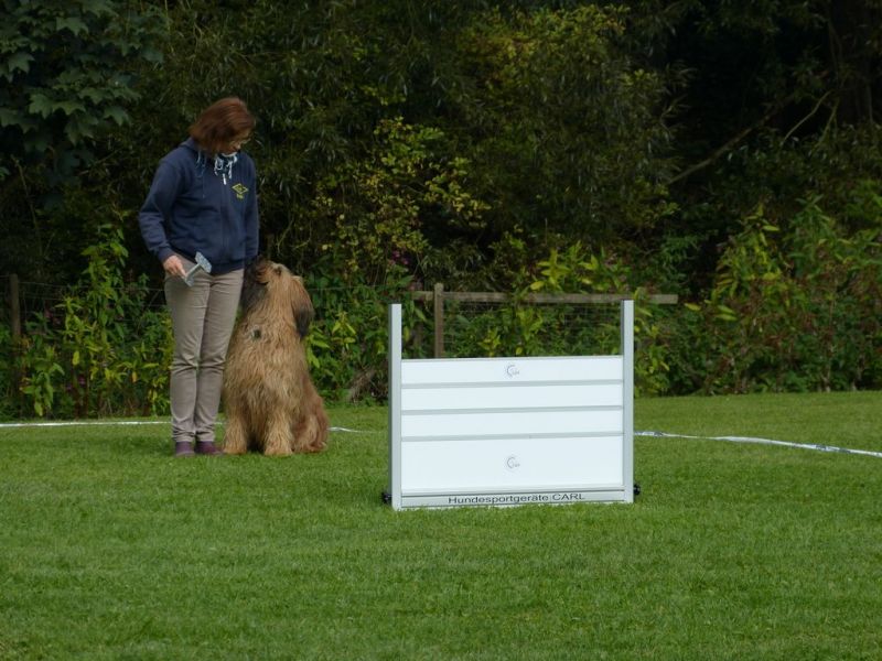 Obedience Prüfung 2015