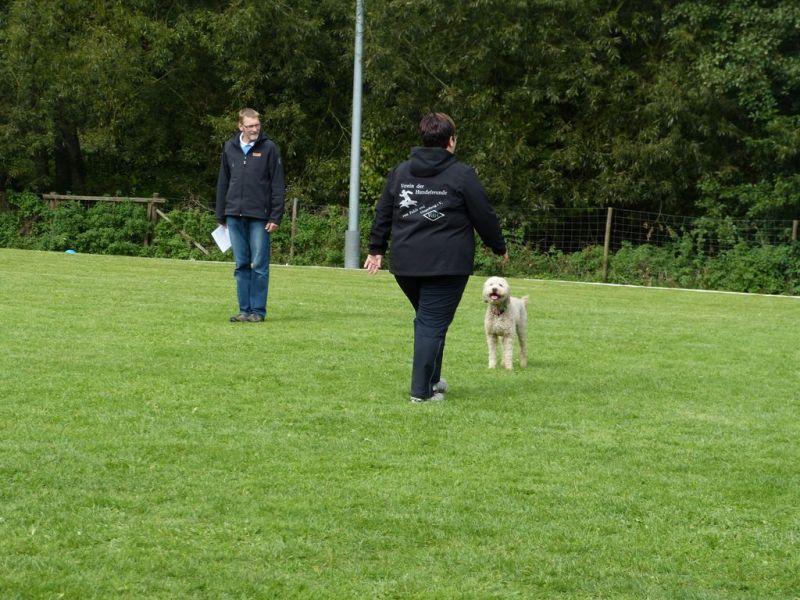 Obedience Prüfung 2015