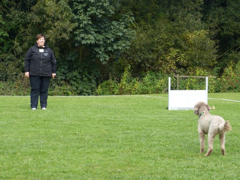 Obedience Prüfung 2015